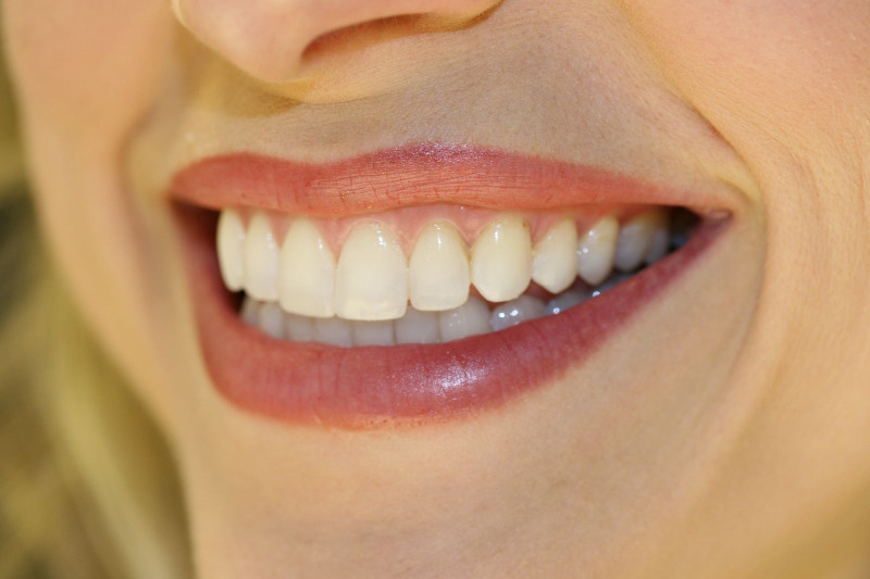 scientists are growing teeth