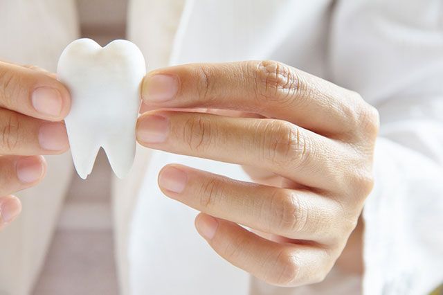 photo of an artificial tooth in the dentist's hands